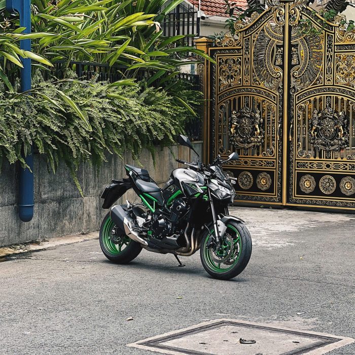 725 . Kawasaki Z900 Model 2023